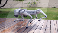 Robot dog is an acrobatic pet.                          