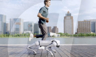 Robot dog is an acrobatic pet.                          