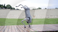 Robot dog is an acrobatic pet.                          