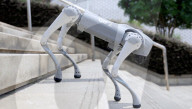 Robot dog is an acrobatic pet.                          