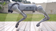 Robot dog is an acrobatic pet.                          