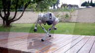 Robot dog is an acrobatic pet.                          