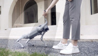 Robot dog is an acrobatic pet.                          