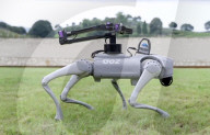 Robot dog is an acrobatic pet.                          