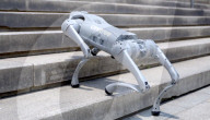 Robot dog is an acrobatic pet.                          