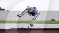 Robot dog is an acrobatic pet.                          