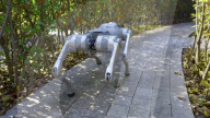 Robot dog is an acrobatic pet.                          