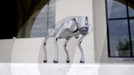 Robot dog is an acrobatic pet.                          