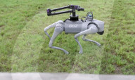 Robot dog is an acrobatic pet.                          