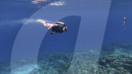 World's first underwater jet pack