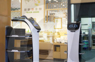 Cat waiter robot 