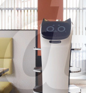 Cat waiter robot 