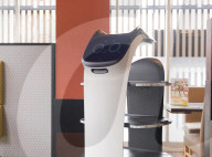 Cat waiter robot 
