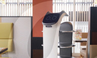 Cat waiter robot 