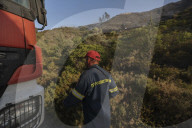 NEWS - Waldbrände wüten weiter auf Rhodos