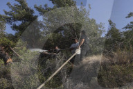 NEWS - Waldbrände wüten weiter auf Rhodos