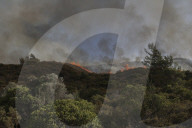 NEWS - Waldbrände wüten weiter auf Rhodos