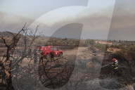 NEWS - Waldbrände wüten weiter auf Rhodos