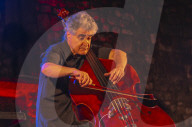 dukas 158531688 dal