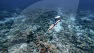 FEATURE - Das erste Unterwasser-Jetpack