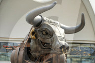 'Birmingham could pull it off': city considers hosting Commonwealth Games again.
Unveiling of Ozzy the bull statue