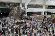 'Birmingham could pull it off': city considers hosting Commonwealth Games again.
Unveiling of Ozzy the bull statue