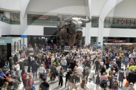 'Birmingham could pull it off': city considers hosting Commonwealth Games again.
Unveiling of Ozzy the bull statue