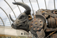 'Birmingham could pull it off': city considers hosting Commonwealth Games again.
Unveiling of Ozzy the bull statue