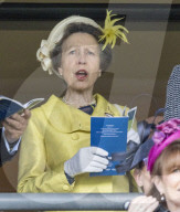 ROYALS - Princess Anne attends the QIPCO King George day at Ascot