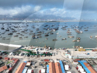NEWS - China: Fischerboote suchen Schutz vor demTaifun Khanun in Liandao