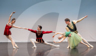 The Australian Ballet media presentation, Clore Studio.