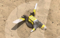 Robot turtle to help lead wild hatchlings to the sea.              