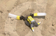 Robot turtle to help lead wild hatchlings to the sea.              