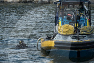 ‘It’s a Baltic problem’: the Swedish coastguards saving shipwrecks from looters