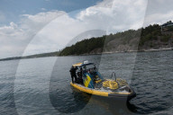 ‘It’s a Baltic problem’: the Swedish coastguards saving shipwrecks from looters