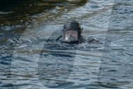 ‘It’s a Baltic problem’: the Swedish coastguards saving shipwrecks from looters