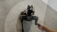 New robot dog has joined the world's pack of mechanical mutts