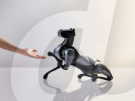 New robot dog has joined the world's pack of mechanical mutts