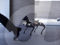 New robot dog has joined the world's pack of mechanical mutts
