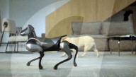 New robot dog has joined the world's pack of mechanical mutts