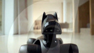 New robot dog has joined the world's pack of mechanical mutts