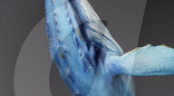 Handheld 3D scanner 