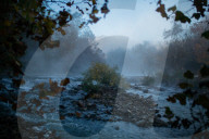 They moved to a Buddhist retreat in rural America. Have they found happiness?