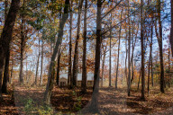 They moved to a Buddhist retreat in rural America. Have they found happiness?