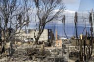NEWS - Hawaii: Die von Bränden zerstörten Anwesen in Lahaina auf Maui