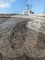 Health alarm as tide of rotting seaweed chokes UK holiday beaches