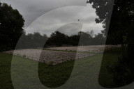 Call for memorial for British Jews whose remains were moved to mass grave in 1970s