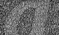 Titanium spikes to kill hospital superbugs