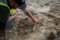 'We can't take any of this for granted': Gaza's fight to keep its treasures safe at home