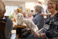'It's almost magical': how robotic pets are helping UK care home residents